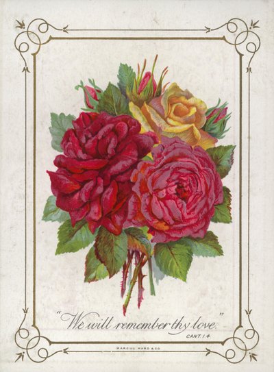 Mazzo di fiori da English School